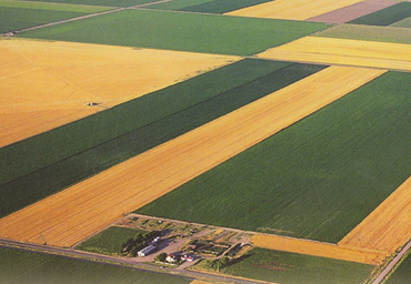 Точное измерение площади полей